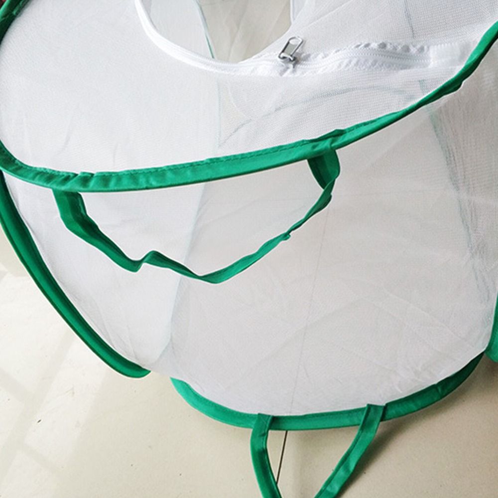 Green Collapsible Insect Cage  - Green Screen Collapsible recension och pris