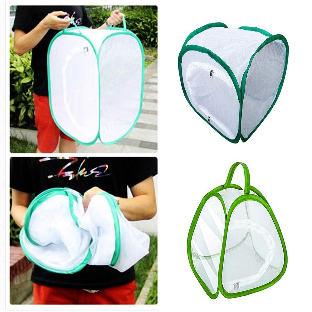 Green Collapsible Insect Cage  - Green Screen Collapsible recension och pris