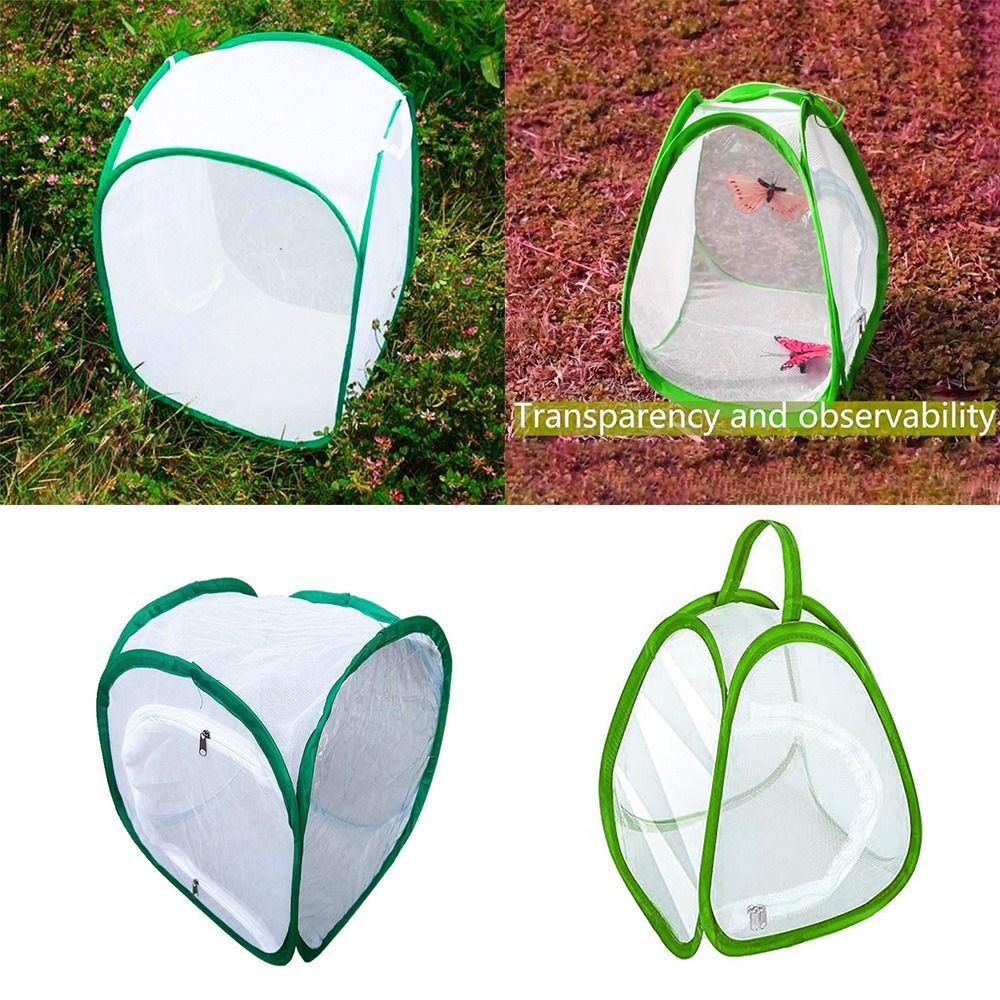 Green Collapsible Insect Cage  - Green Screen Collapsible recension och pris
