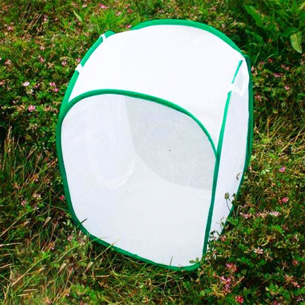 Green Collapsible Insect Cage  - Green Screen Collapsible recension och pris
