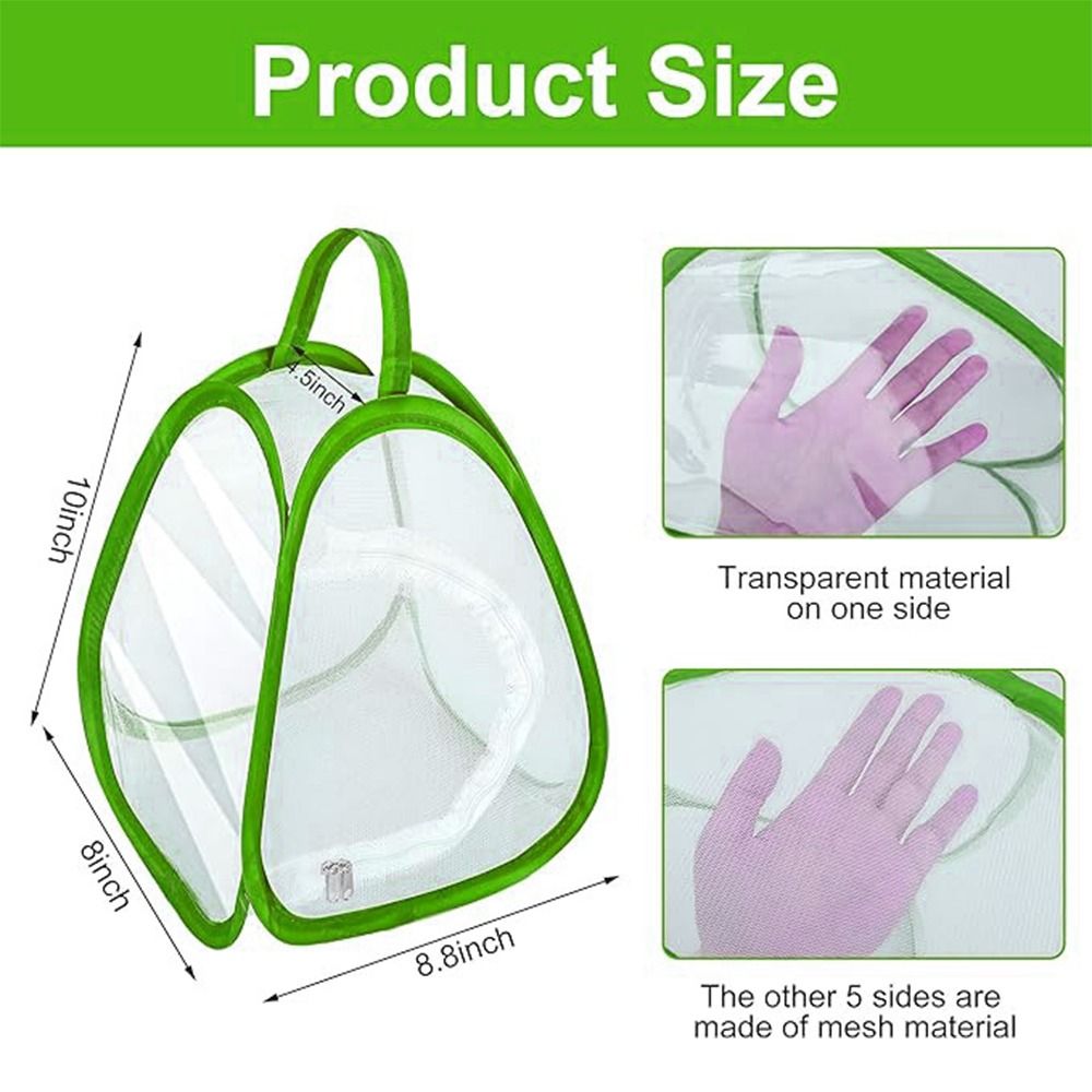 Green Collapsible Insect Cage  - Green Screen Collapsible recension och pris