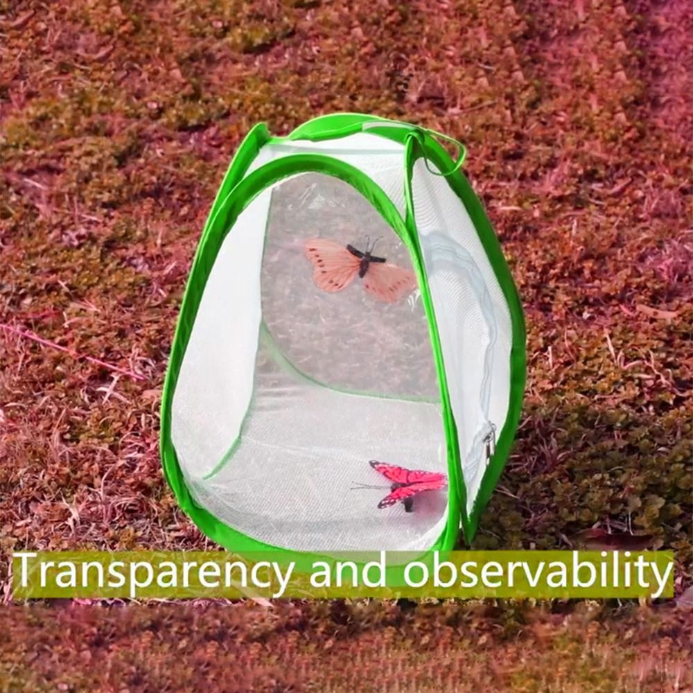 Green Collapsible Insect Cage  - Green Screen Collapsible recension och pris