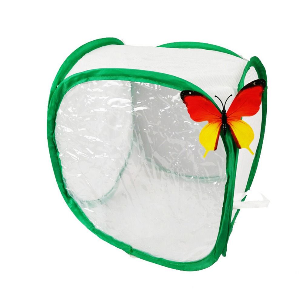 Green Collapsible Insect Cage  - Green Screen Collapsible recension och pris