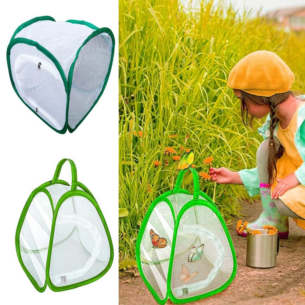 Green Collapsible Insect Cage  - Green Screen Collapsible recension och pris