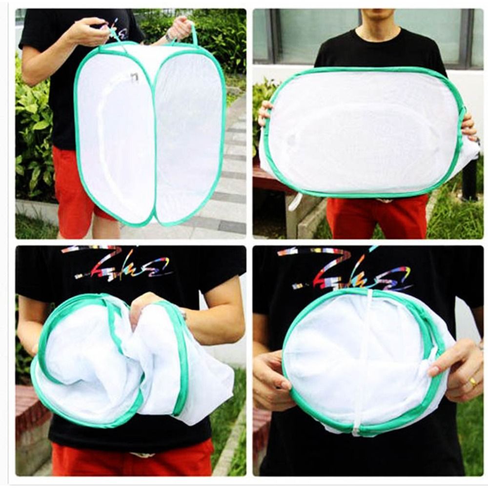Green Collapsible Insect Cage  - Green Screen Collapsible recension och pris